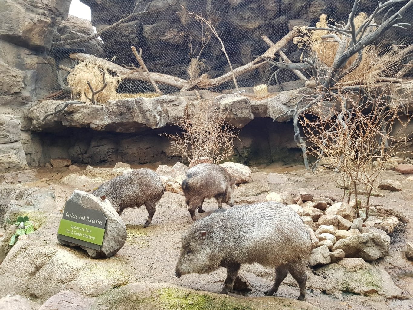 Family Travel Explore at Omaha's Henry Doorly Zoo