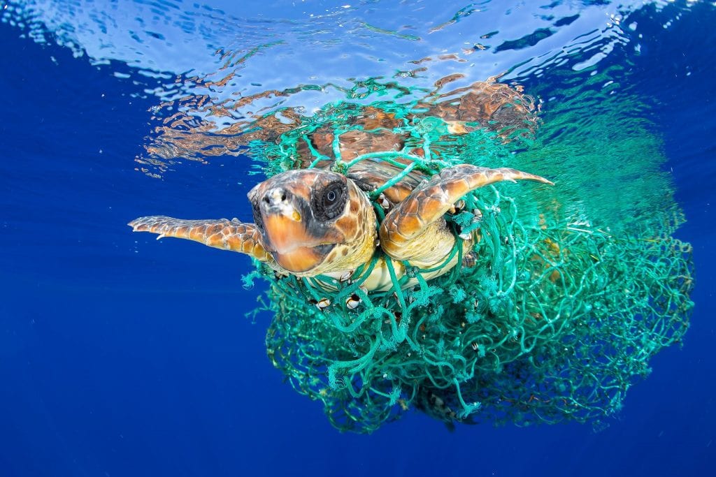 ocean-plastic-pollution