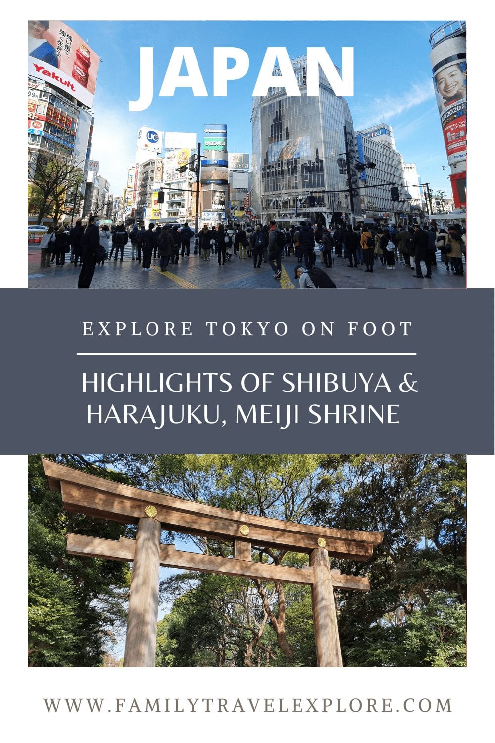 Spectacular Shibuya And Harajuku - An Unforgettable Walking Tour In Tokyo